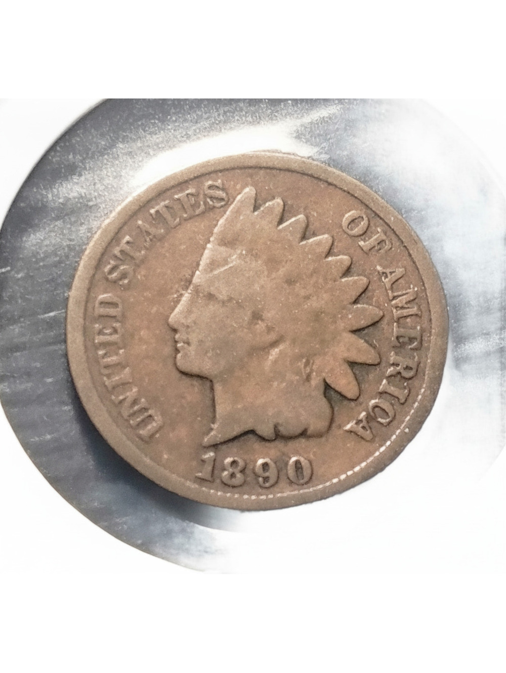 1890 Indian Head Penny #273